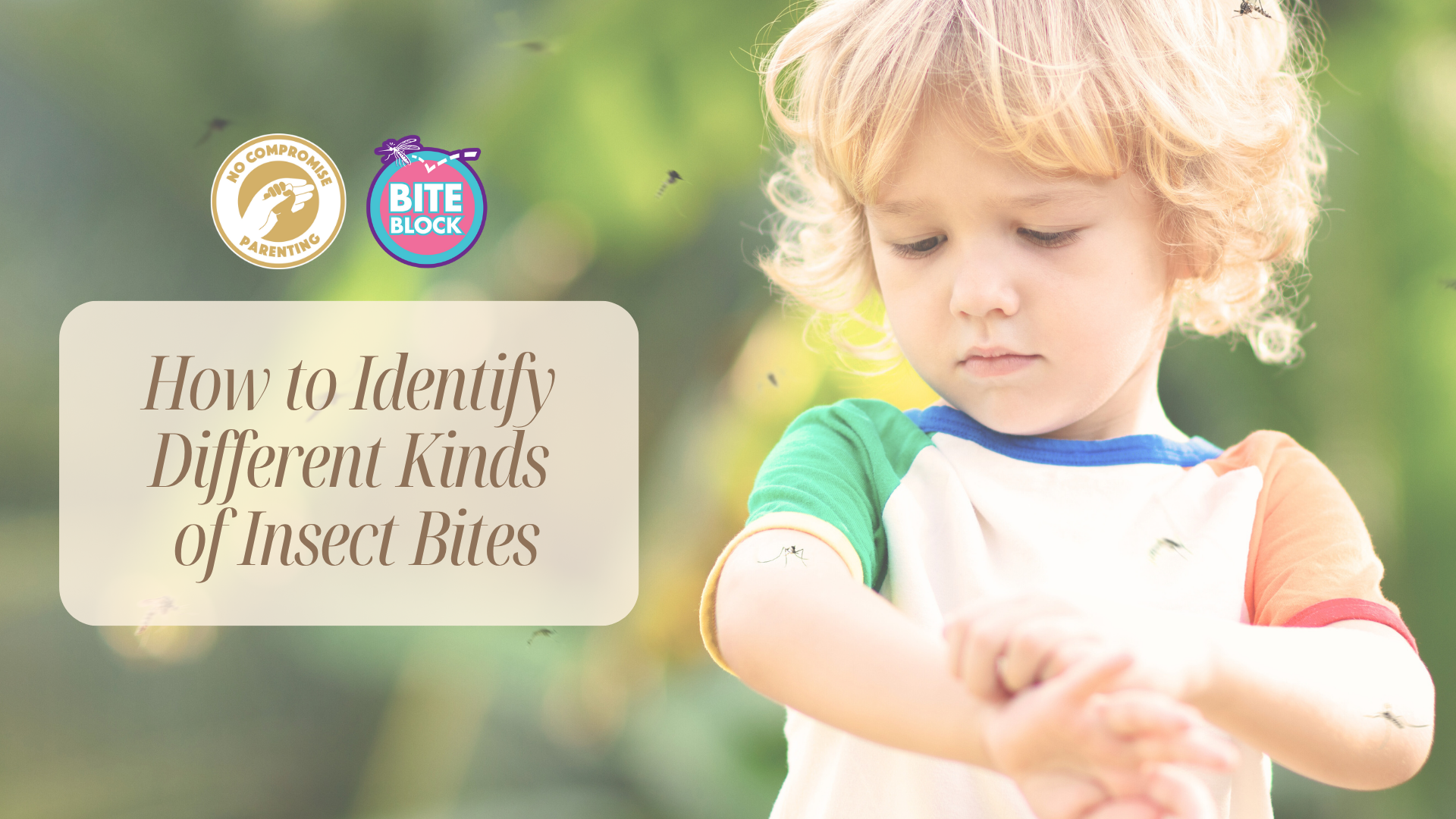 Jo Insect How to Identify Different Kinds of Insect Bites – NurseryVan.com
