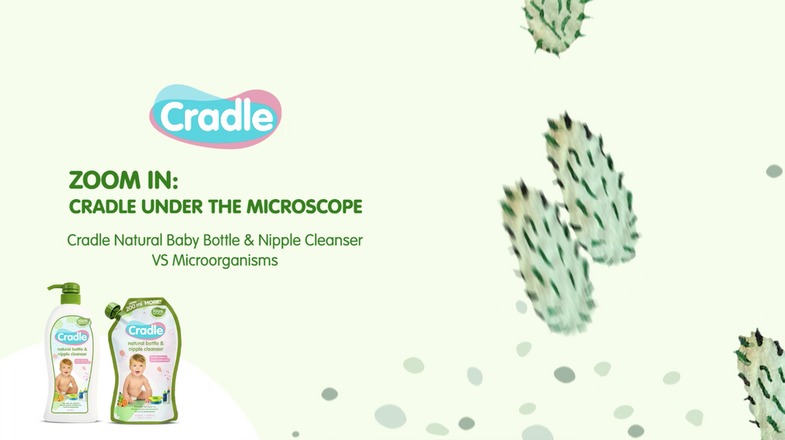 VIDEO: Under the Microscope: Cradle Natural Bottle Wash Kills Germs and Bacteria